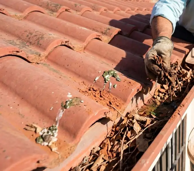 Limpieza de canalones de aluminio en una vivienda de la Vega Baja