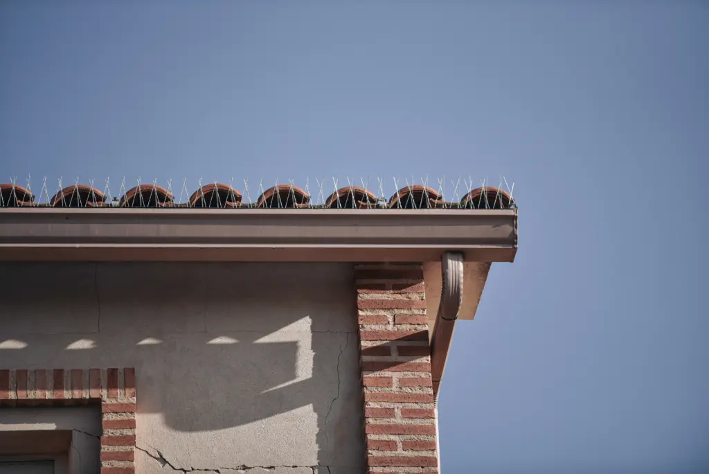 Sistemas antipájaros en canalones: Cómo desalojar a tus "inquilinos" sin pagarles el finiquito